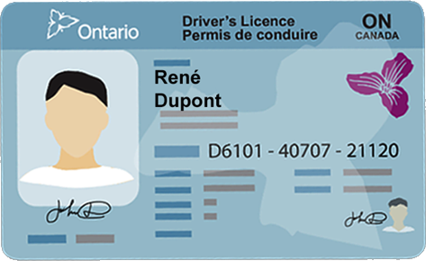 Sample Driver's License